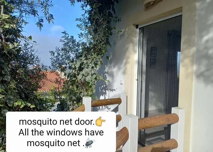 Martins - Belch1952 아파트