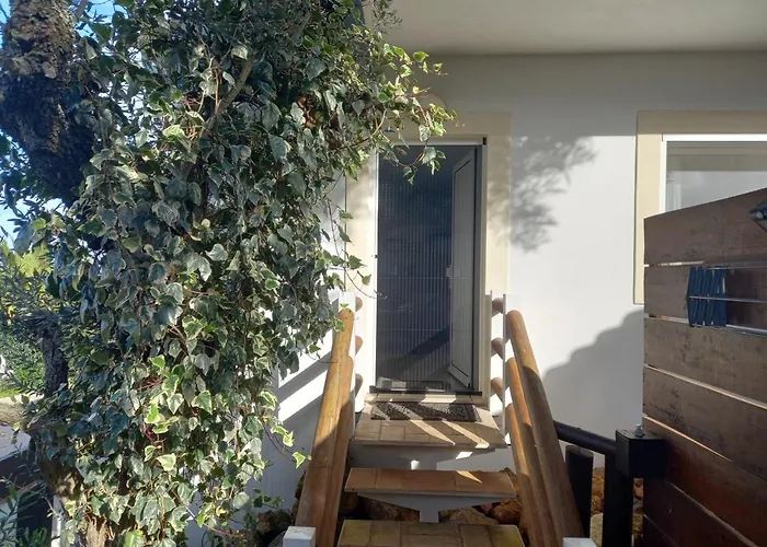 Martins - Belch1952 라고스