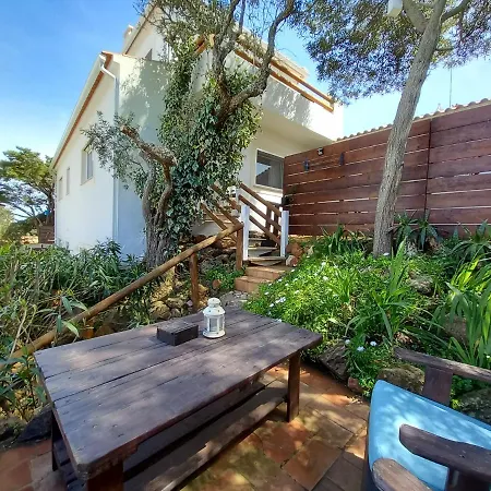 Martins - Belch1952 *