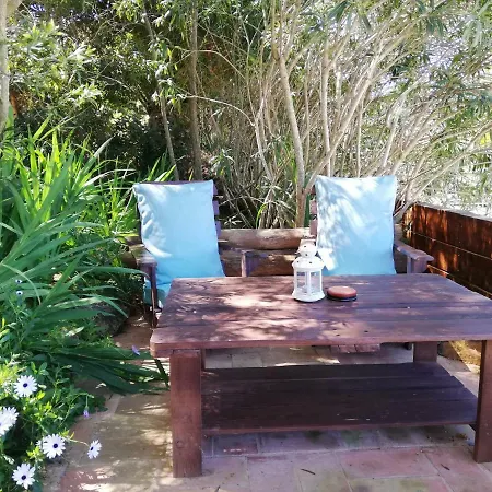 Apartment Martins - Belch1952 *